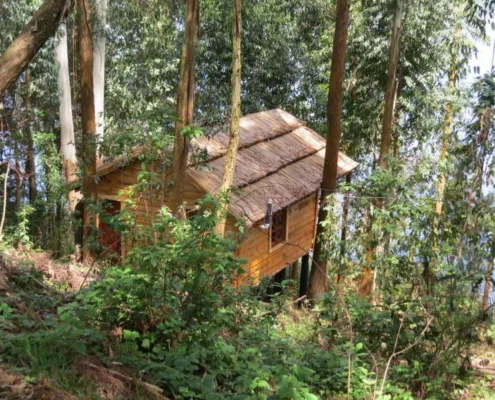 Casa en el árbol Marigold