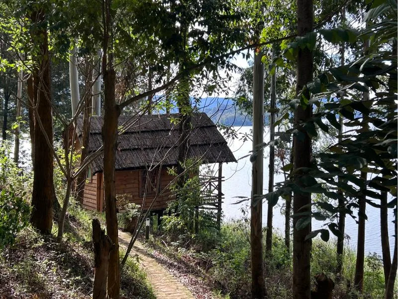 Casa en el árbol Hibiscus