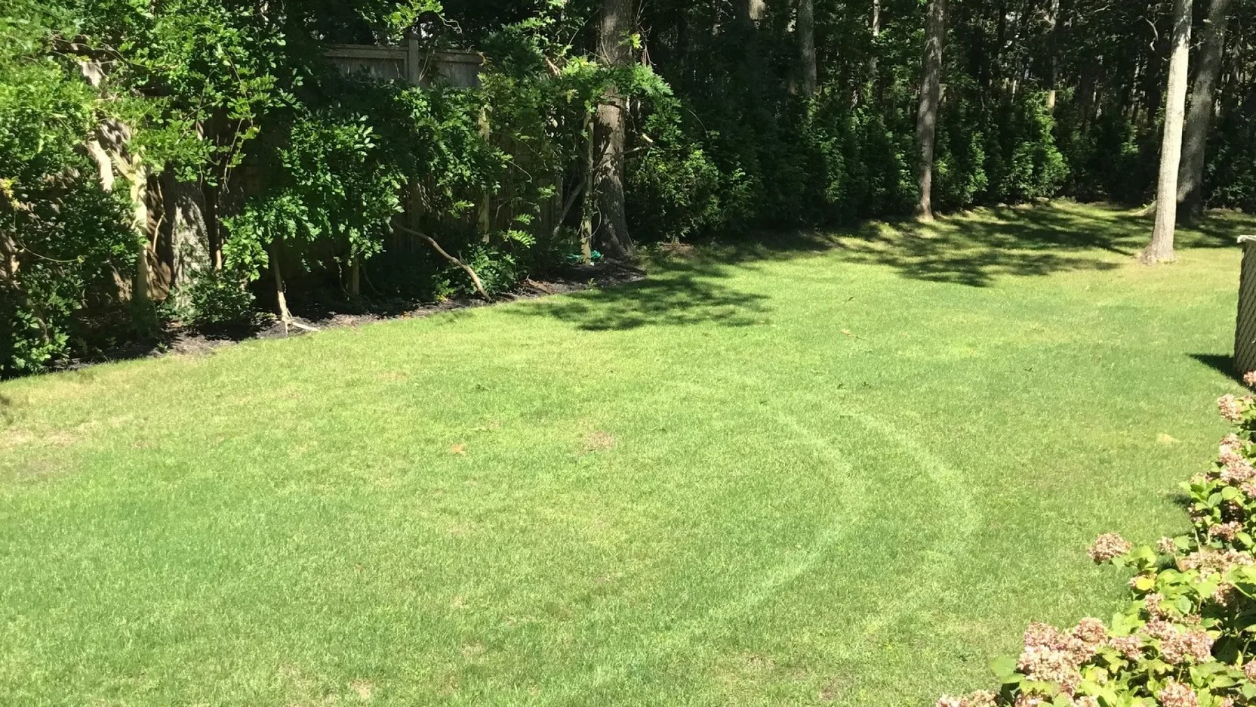 Un jardín cubierto de césped, bordeado de árboles y arbustos.