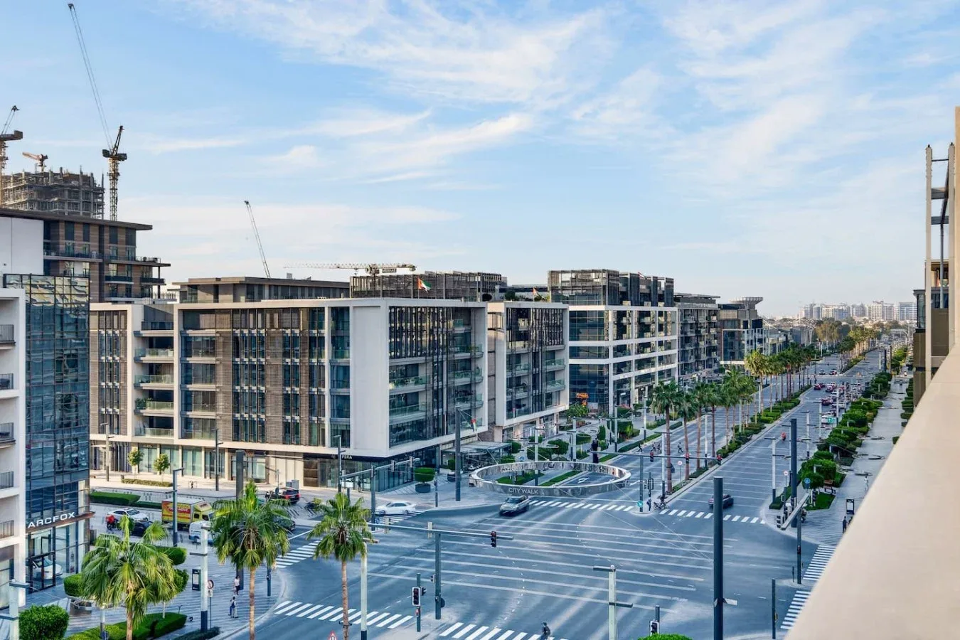 Una calle urbana bordeada de edificios modernos, palmeras y carriles de tráfico.