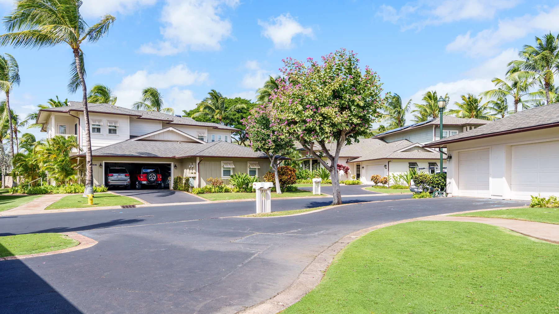 Una entrada residencial curva junto a casas y césped verde, bajo palmeras.