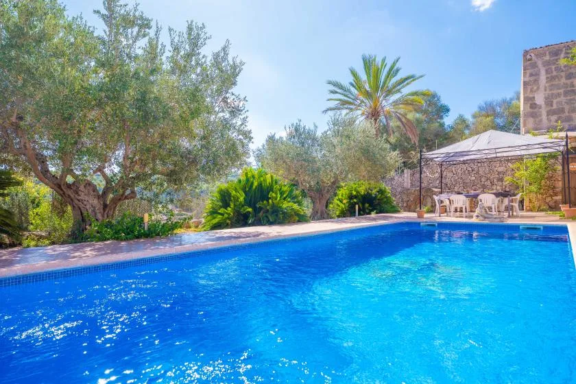 A swimming pool surrounded by trees, with a shaded seating area beside it.