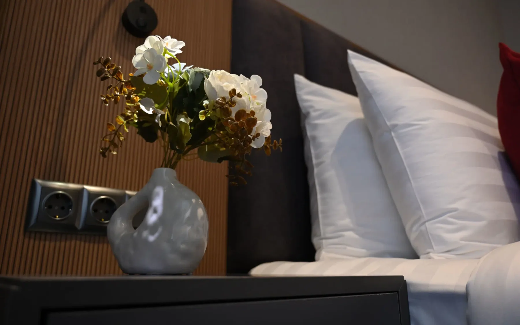Hotel/property photo