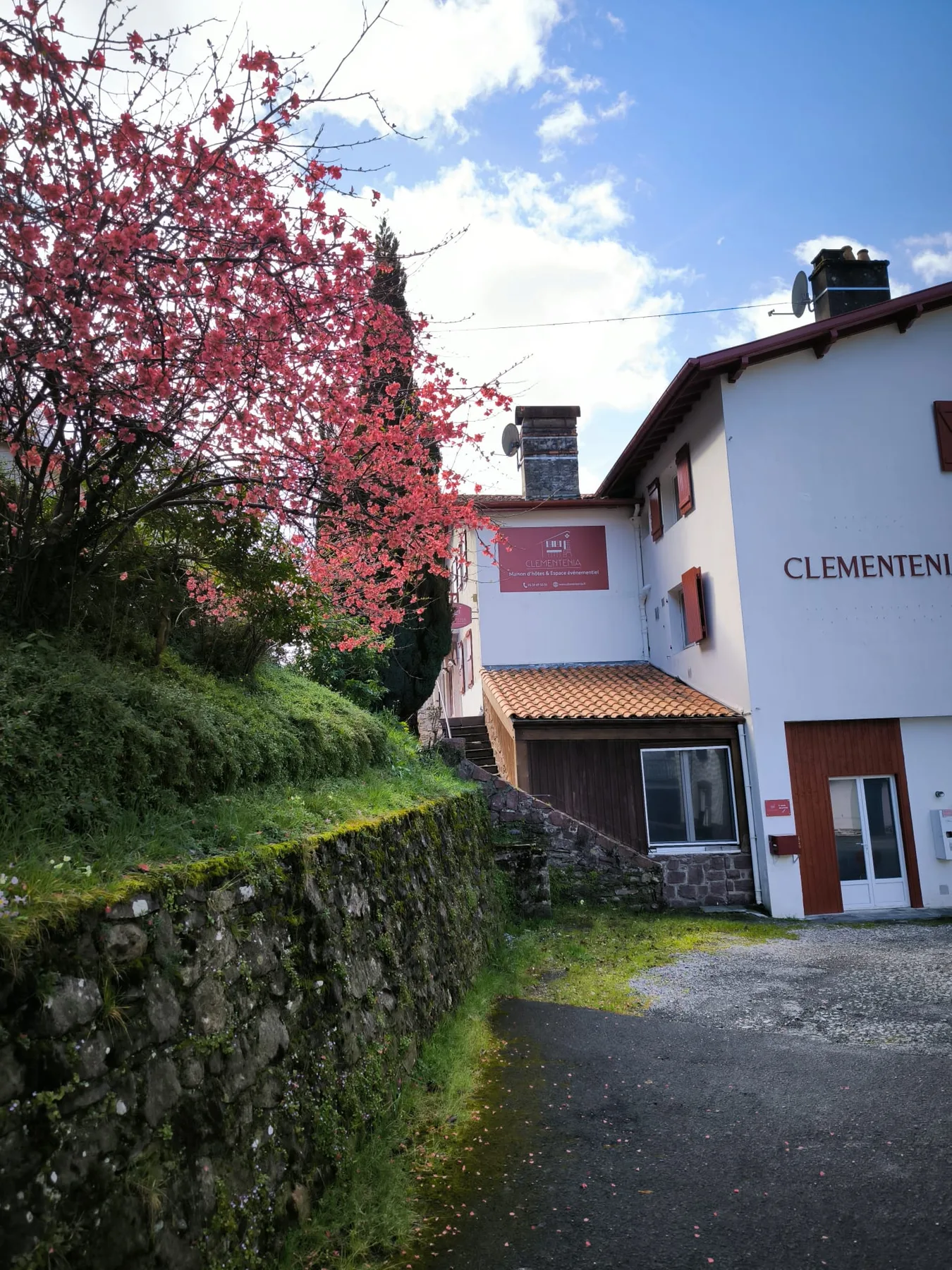 Foto del alojamiento Clementenia