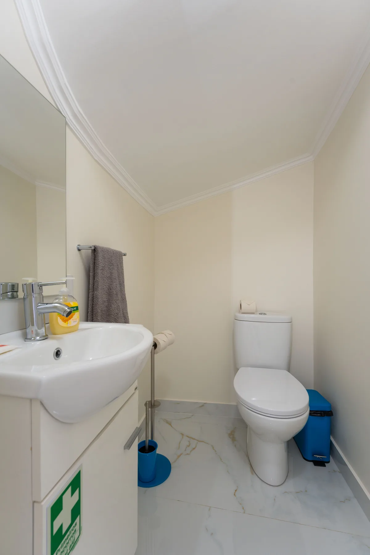Un baño con lavabo e inodoro.