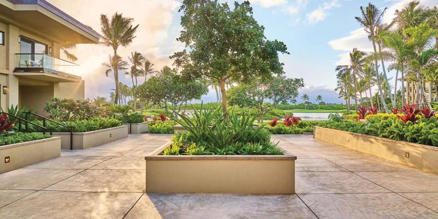 Un paseo exterior ajardinado pasa entre plantas tropicales junto a un edificio.