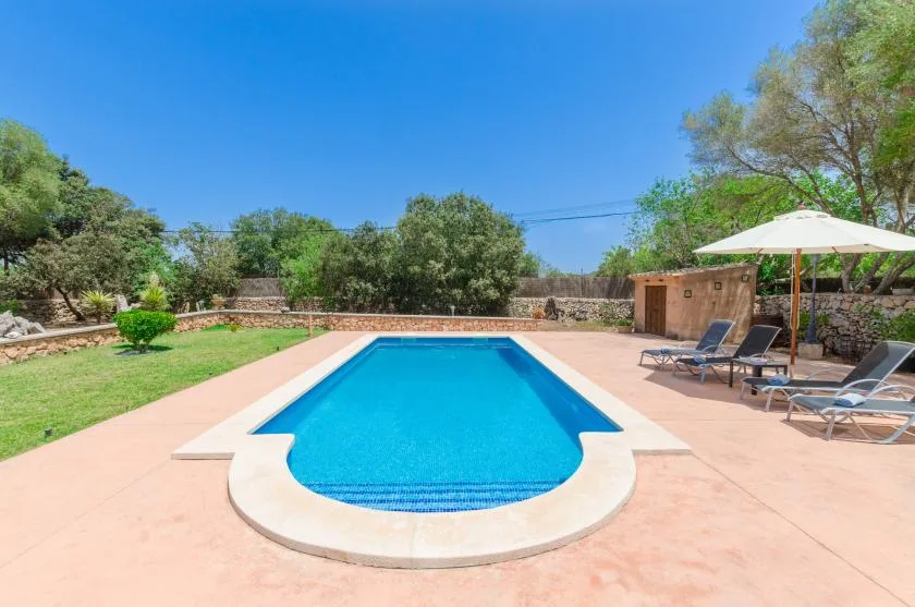 An outdoor swimming pool sits beside a paved patio with lounge seating and an umbrella.