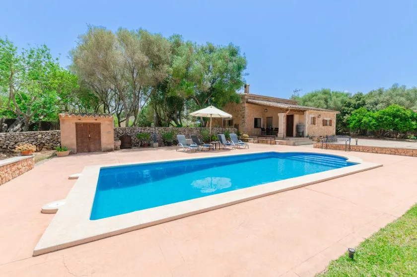 An outdoor swimming pool sits beside a patio, trees, and a low building.