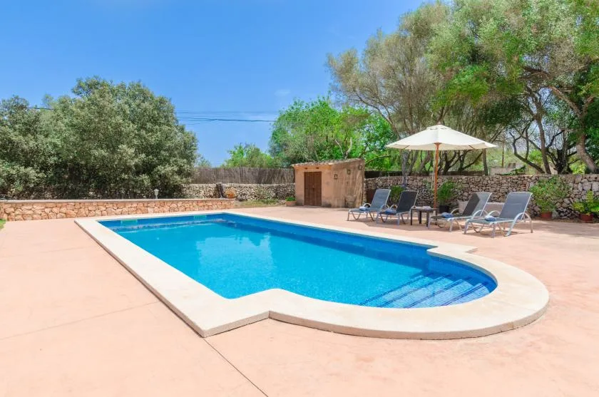 An outdoor swimming pool is surrounded by a pale patio and trees.