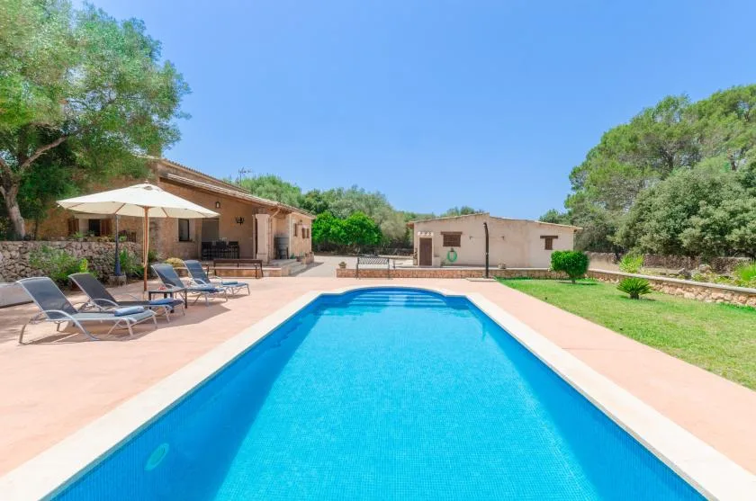 A swimming pool sits beside a patio with lounge seating and surrounding trees.