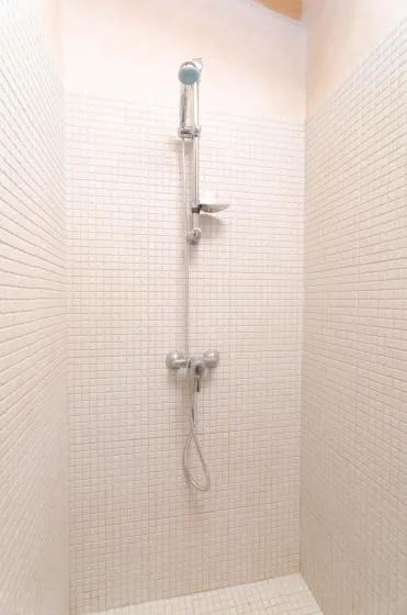 A tiled shower area with a handheld showerhead and wall-mounted controls.