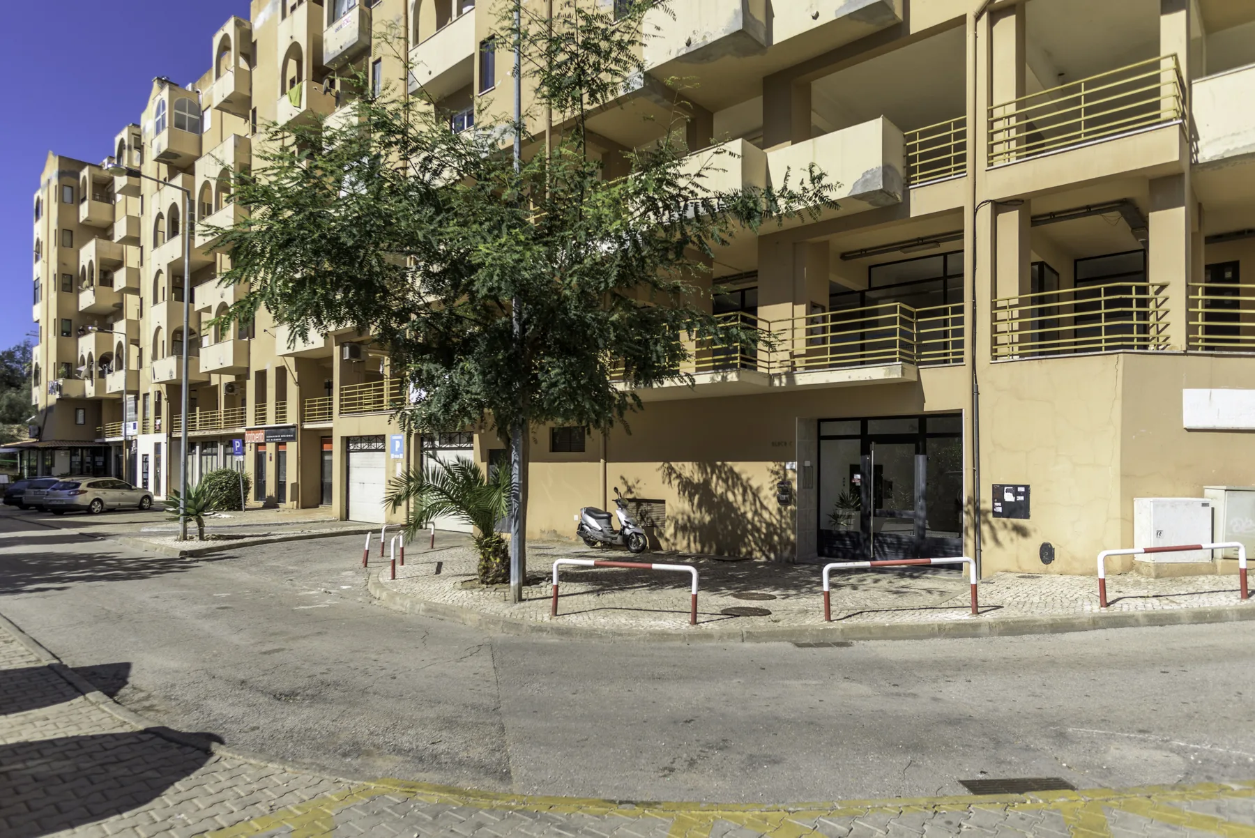 A street view of an apartment building with balconies and a tree in front.