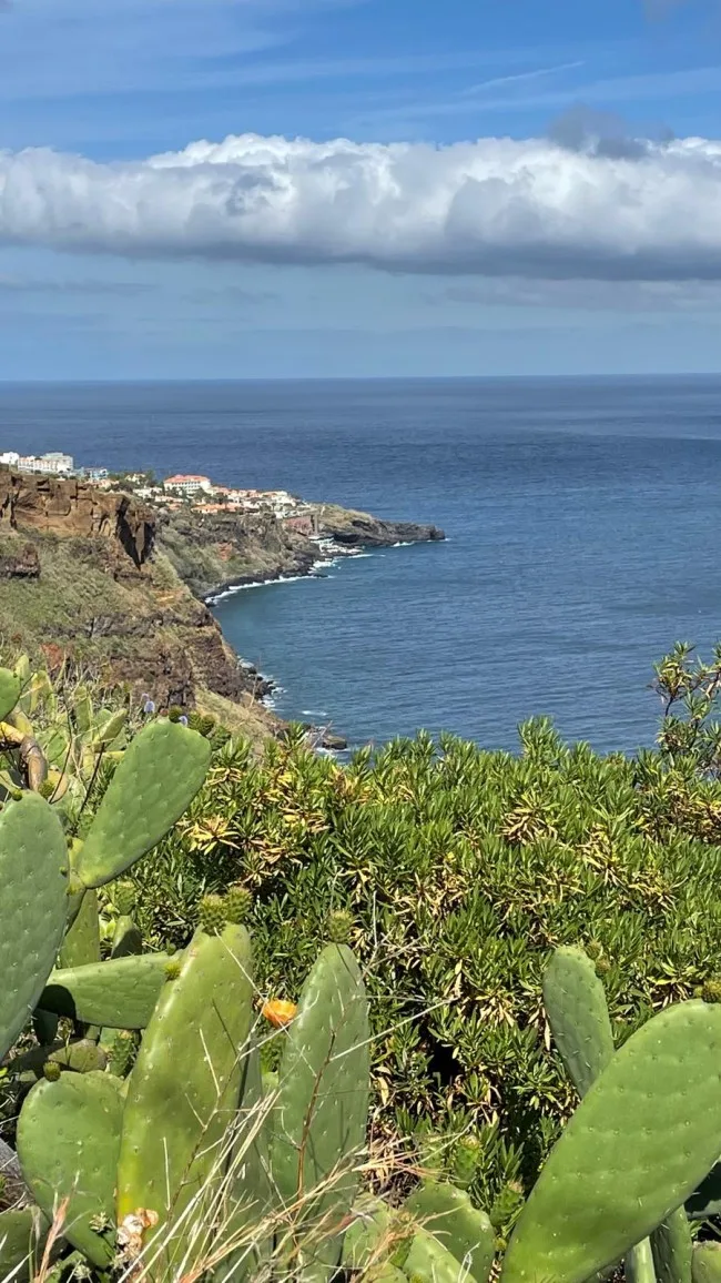 Funchal Bay