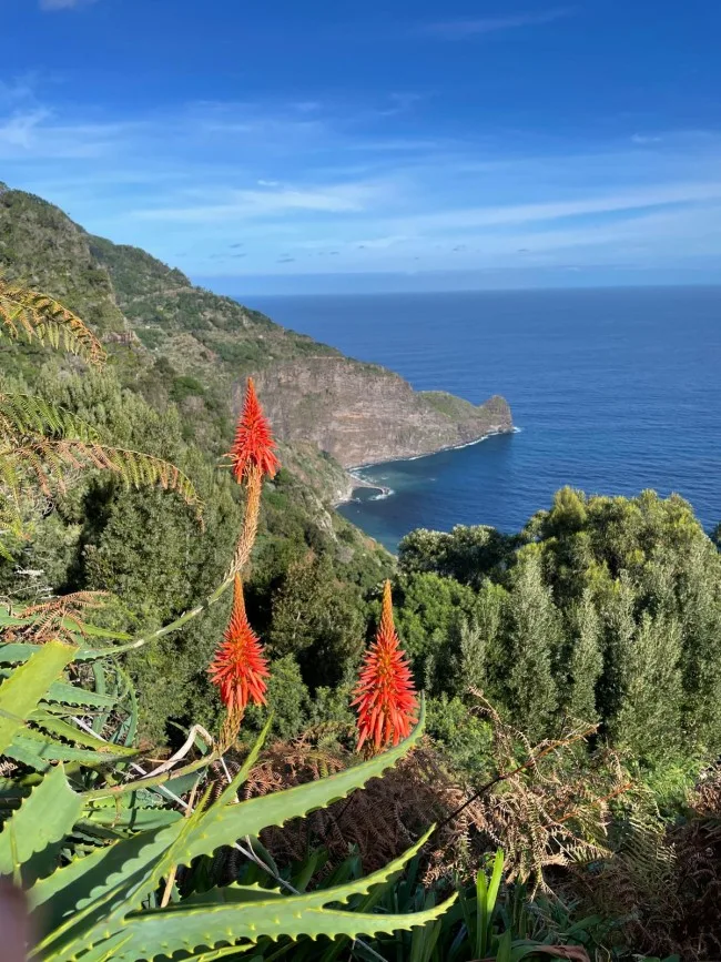 Funchal Bay
