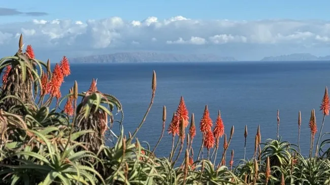 Funchal Bay