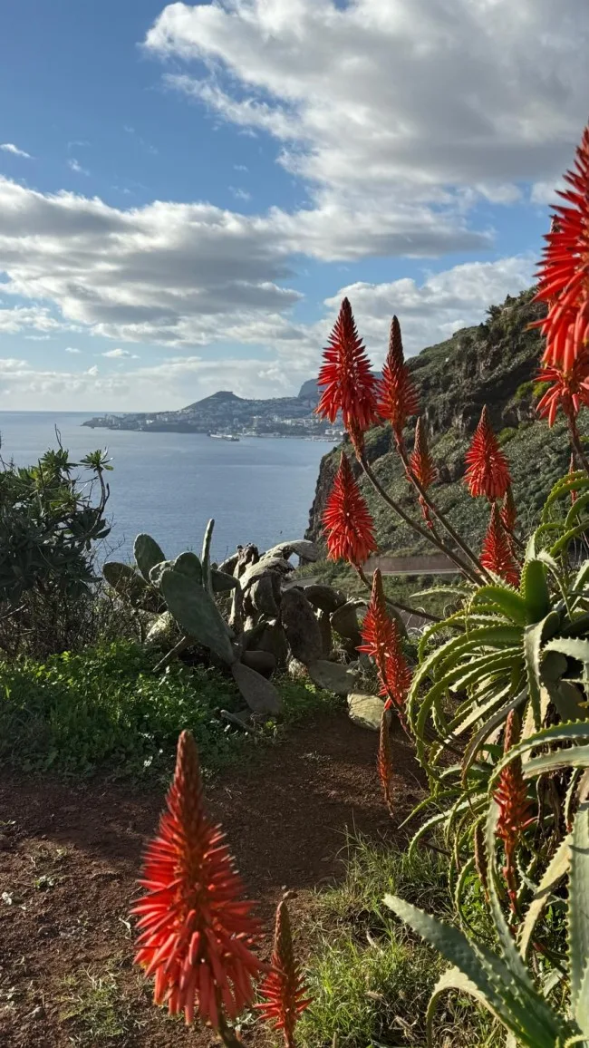 Funchal Bay