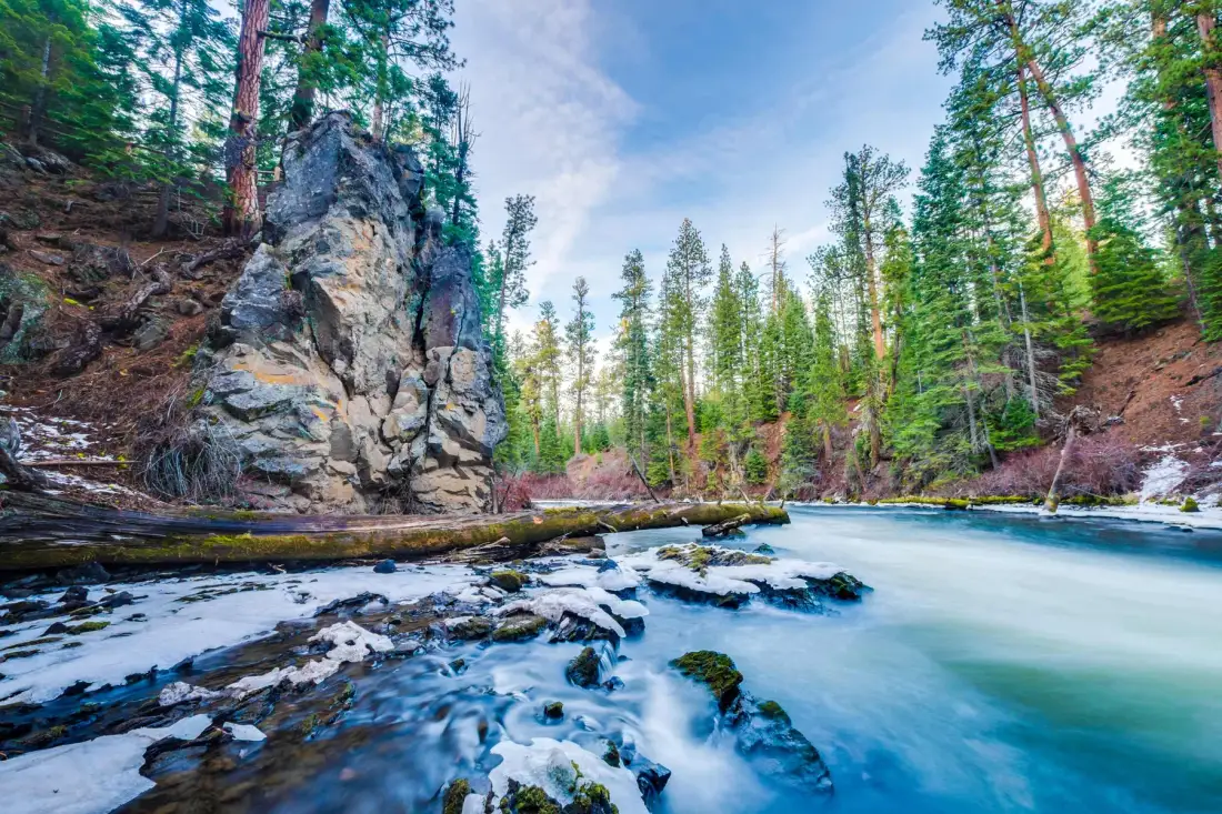 Un río rocoso fluye por un paisaje boscoso con árboles de hoja perenne en sus orillas.
