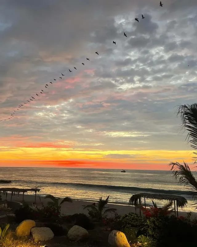 Oceanfront 3BR House in Punta Sal