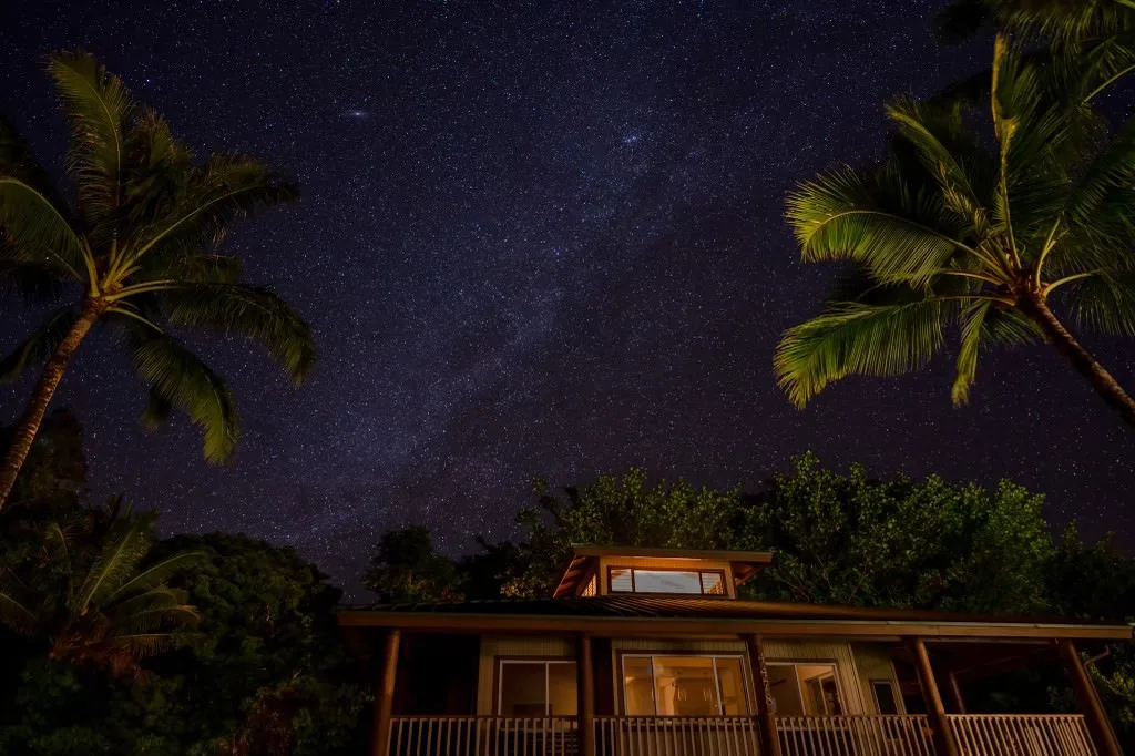 A tropical house beneath a star-filled night sky, framed by palm trees.