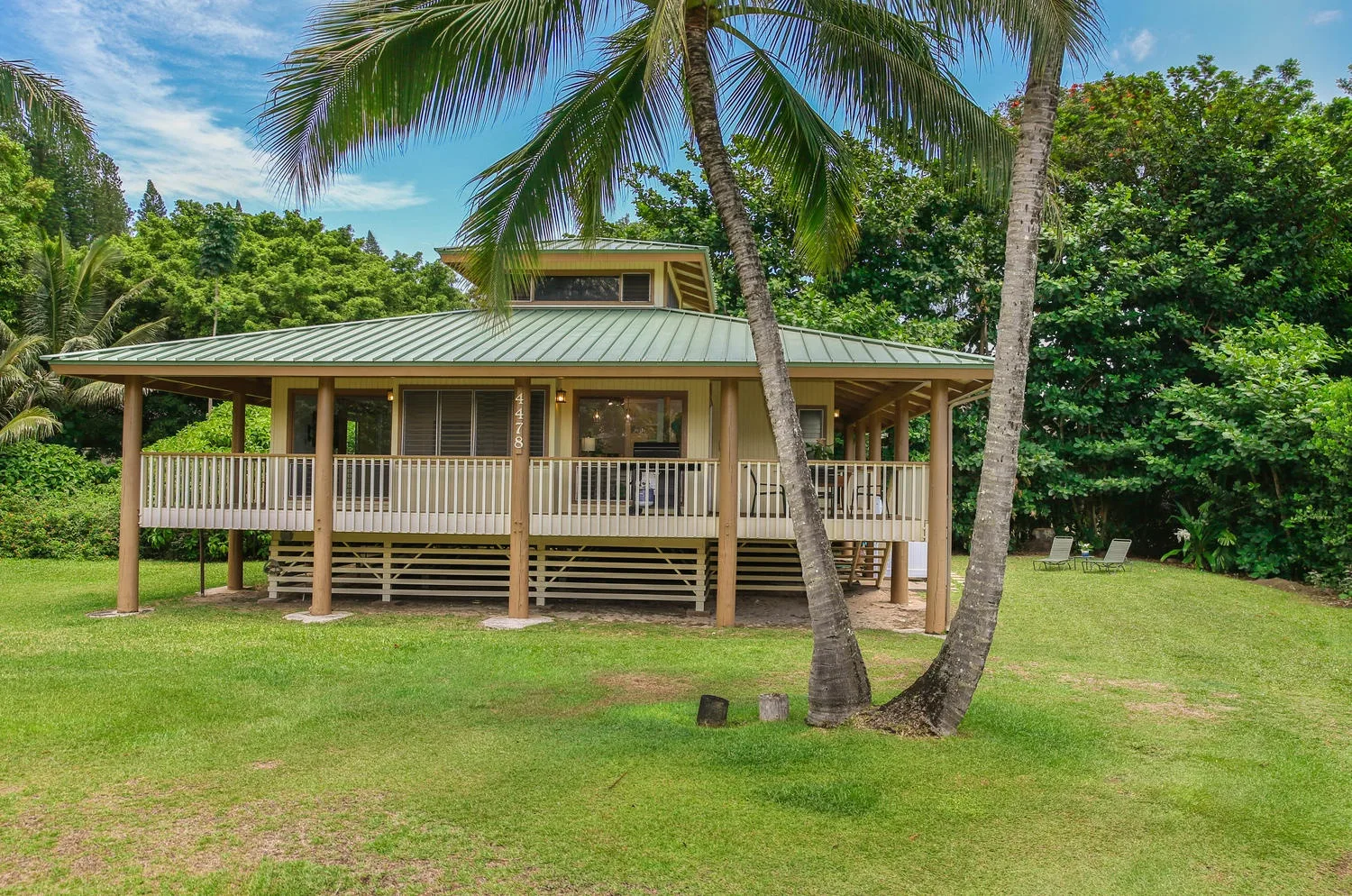 A raised house with a covered wooden porch stands among palm trees and greenery.