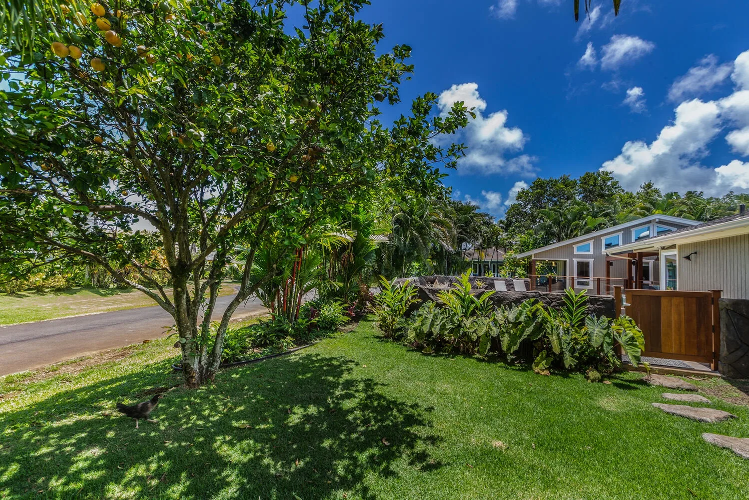 A landscaped yard with a lawn, leafy trees, and a house beside the road.