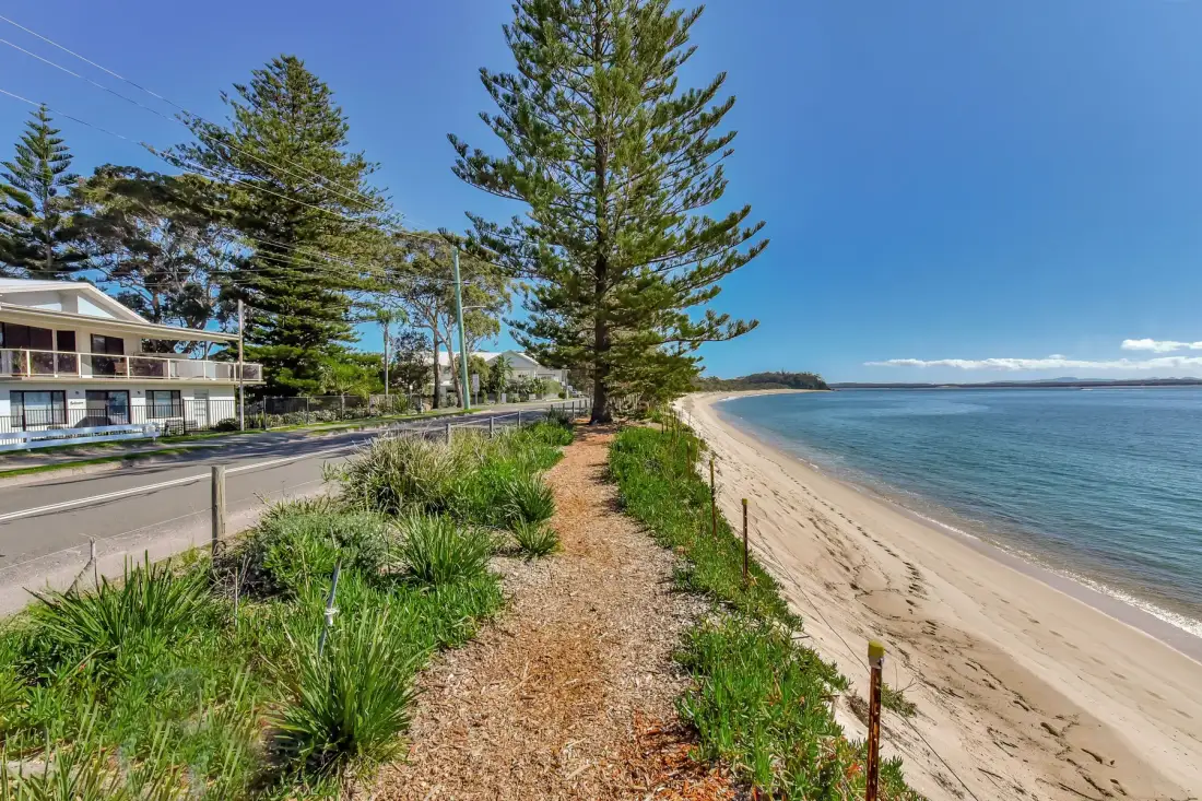 A sandy beach curves along calm water beside a coastal path and roadside trees.