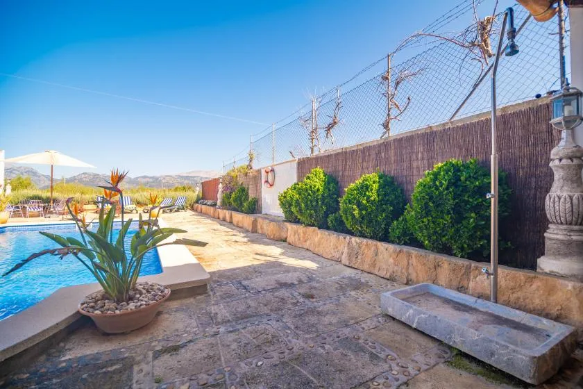 An outdoor swimming pool beside a paved patio with potted plants and a hedge.
