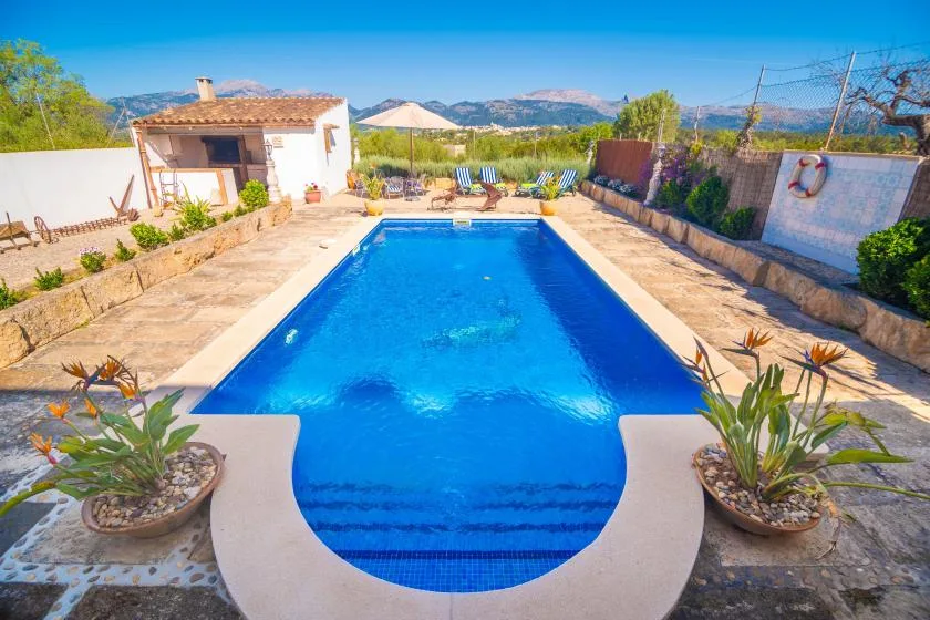 A swimming pool sits in a sunny outdoor courtyard, surrounded by patio paving and plants.
