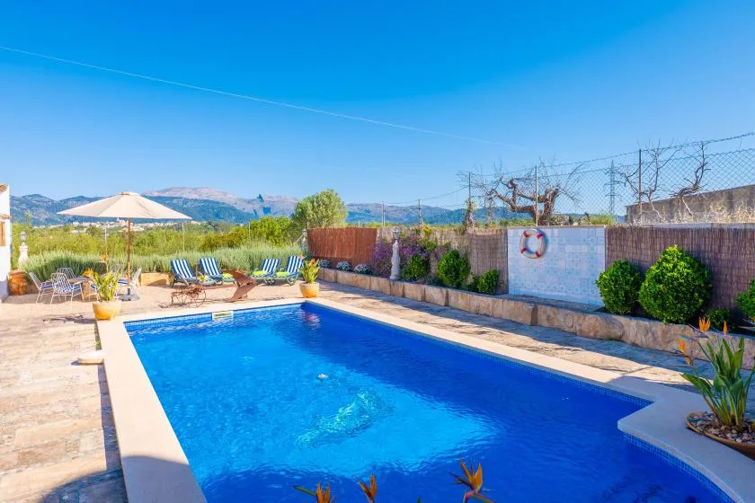 An outdoor swimming pool sits beside a sunny patio with lounge seating.