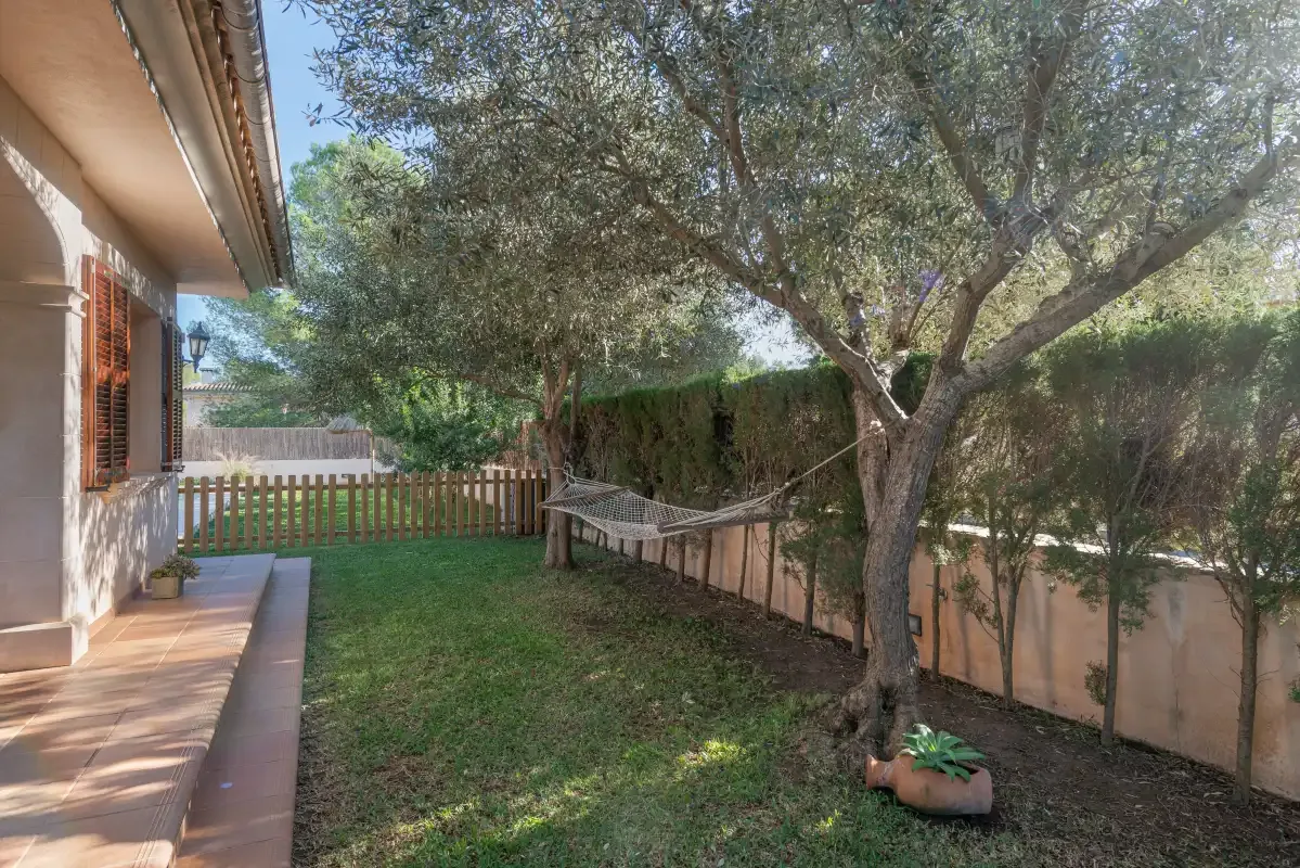 Un jardín con un árbol, césped y una hamaca junto a una casa.