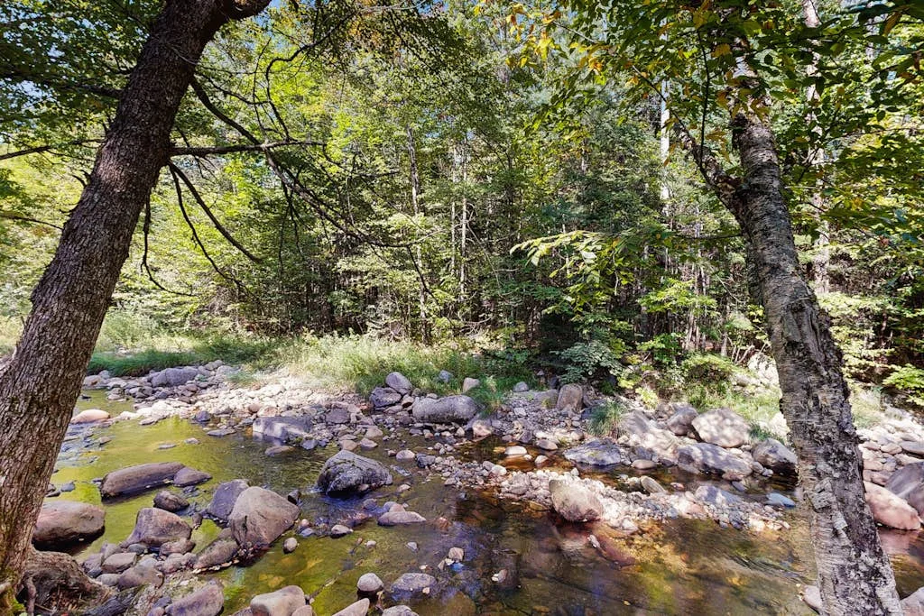 A shallow stream winds through a wooded area, with rocks along its banks.