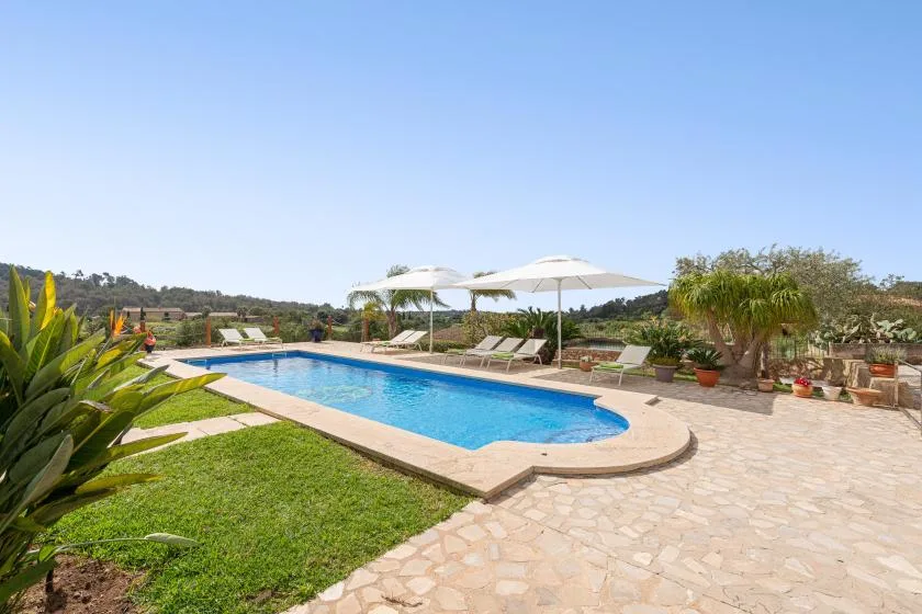 An outdoor swimming pool beside a paved patio and sun loungers.