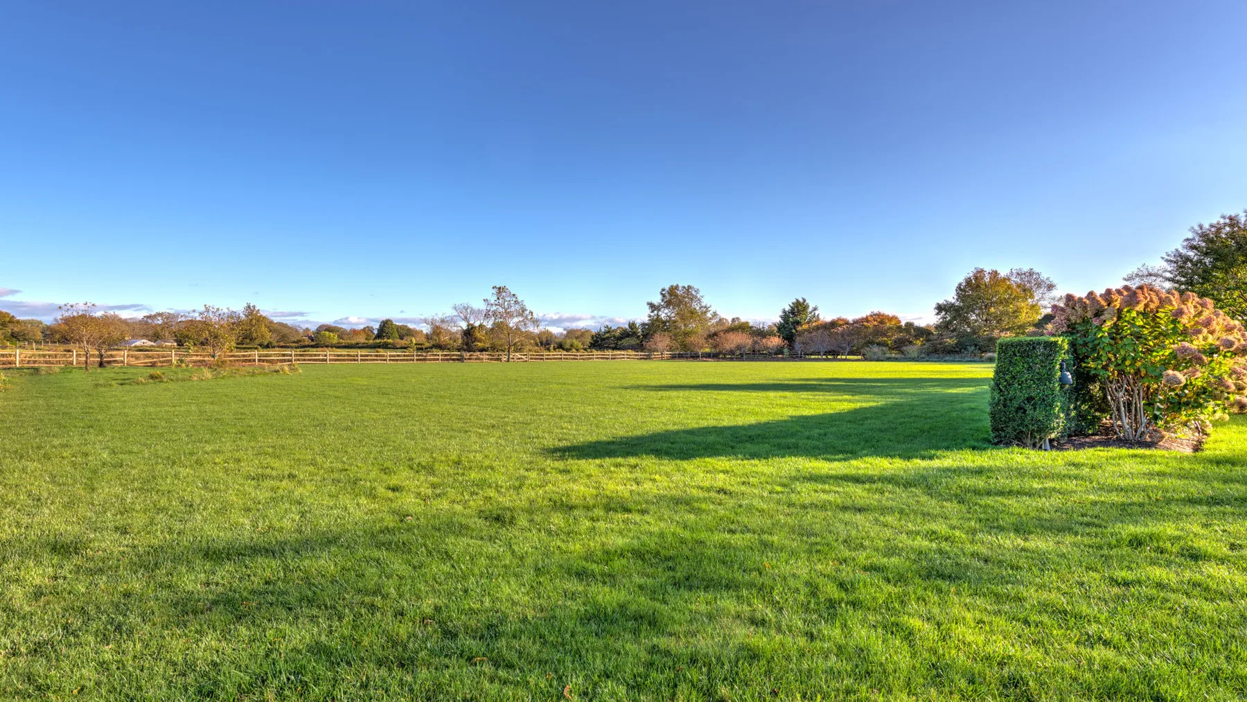 Un amplio campo de hierba se extiende bajo un cielo azul despejado.