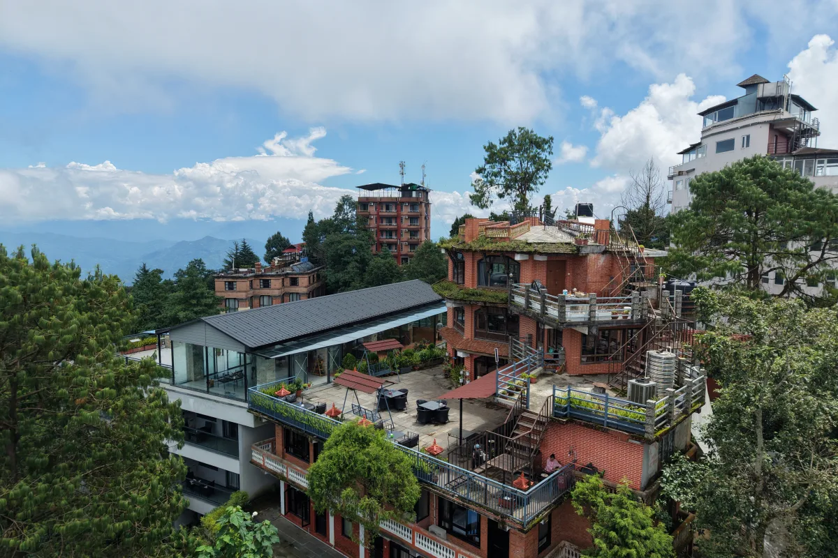 Terrazas y jardines