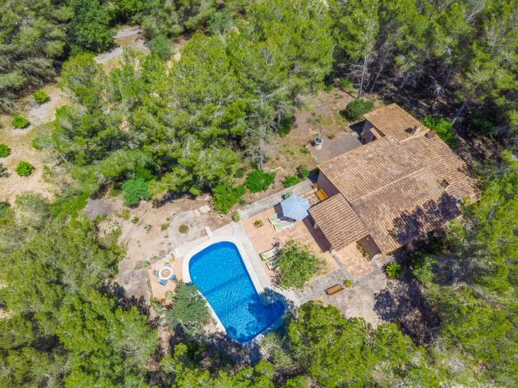 Aerial view of a house and swimming pool surrounded by trees.