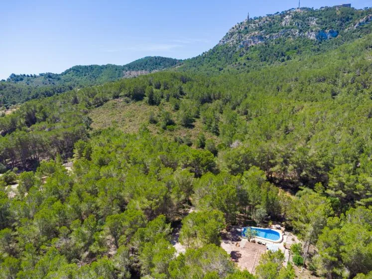 A wooded hillside surrounds a small swimming pool in a clearing.
