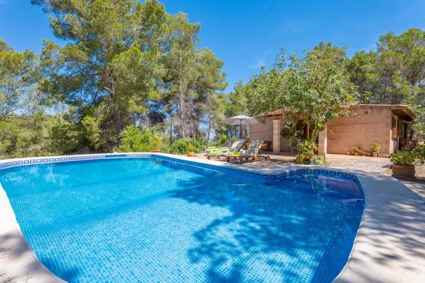 An outdoor swimming pool beside a small patio and surrounding trees.