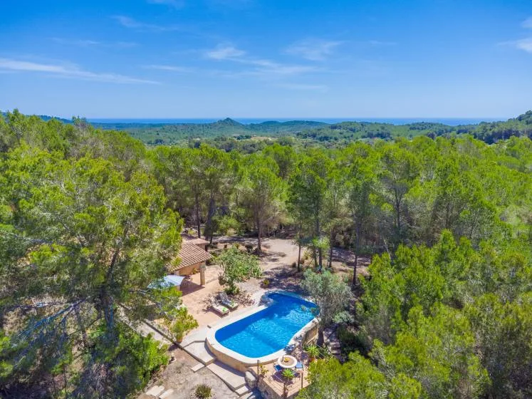 A swimming pool sits among trees, with a wooded landscape stretching toward the horizon.