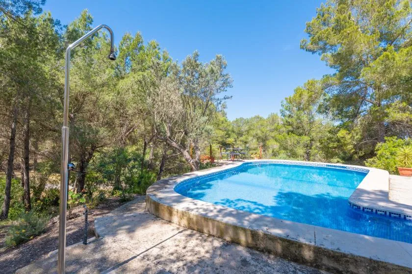 An outdoor swimming pool sits among trees beneath a clear blue sky.