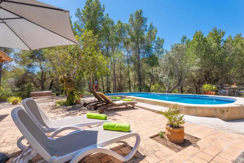 An outdoor pool beside a tiled patio with loungers and trees.