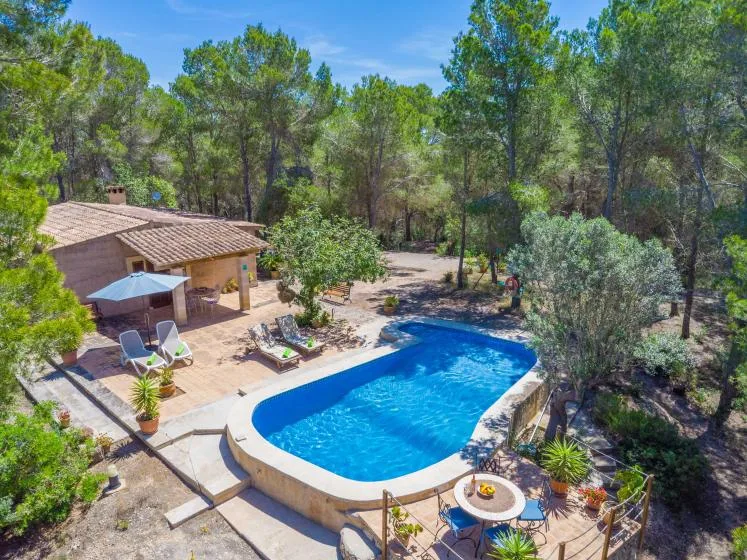 An outdoor swimming pool beside a tiled-roof patio, surrounded by trees.