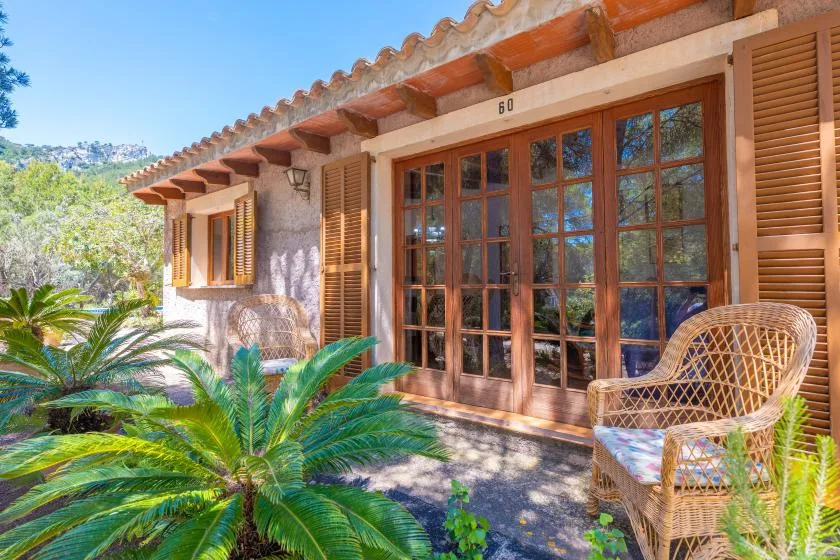 A sunny patio with wooden doors, a woven chair, and leafy plants.
