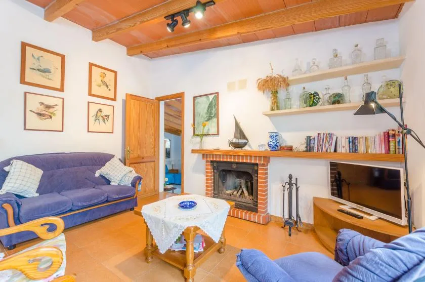 A living room with seating, a fireplace, and shelves along the wall.