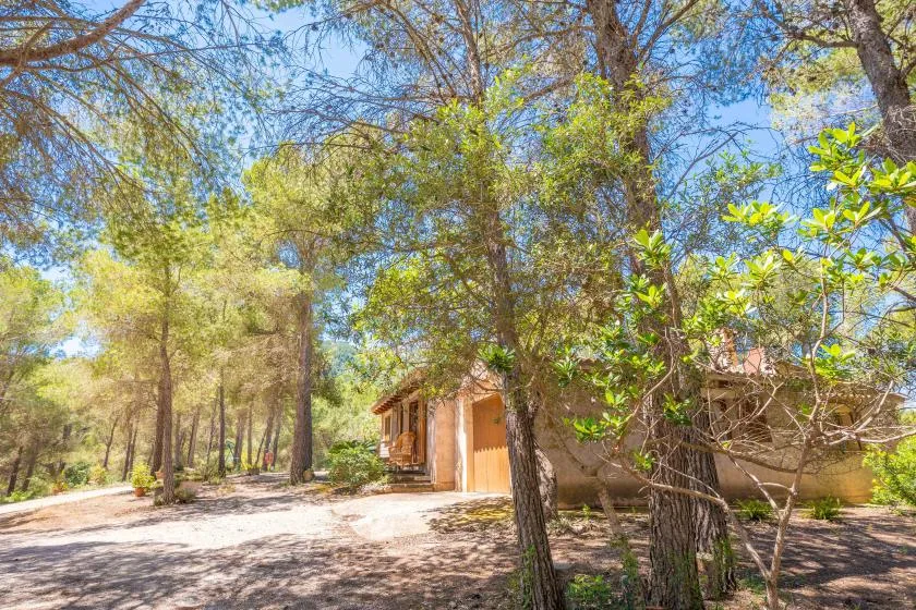 A small building stands among trees beside a sunlit dirt path.