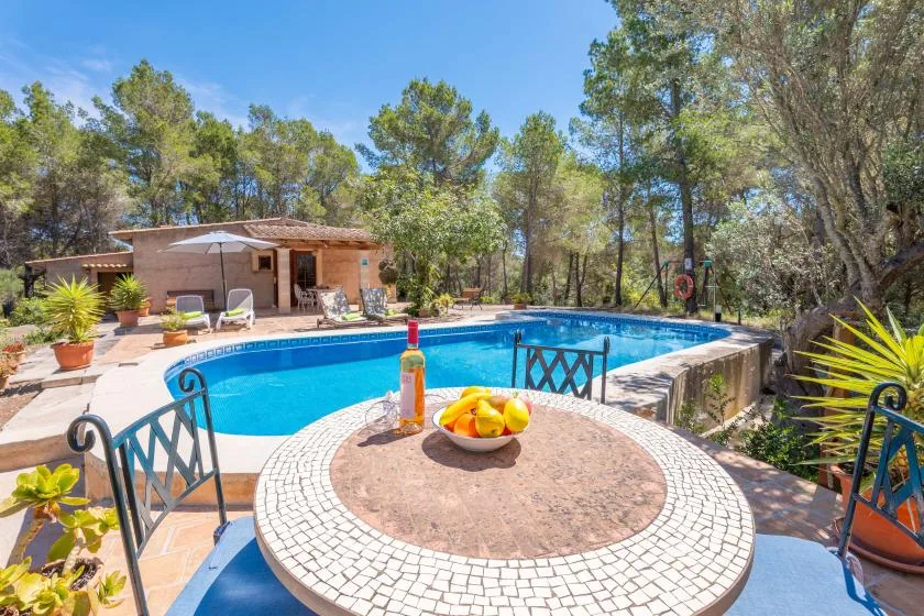 An outdoor pool beside a patio table, with trees surrounding the area.