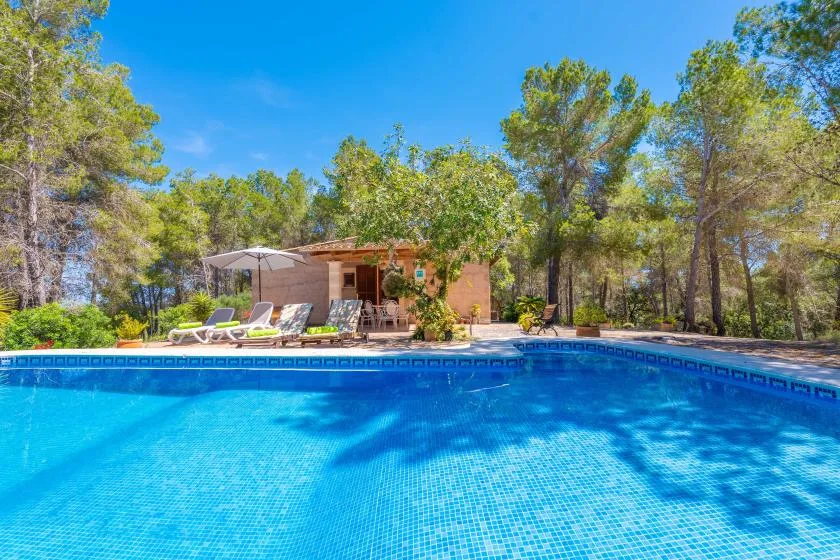 An outdoor swimming pool faces a small building and surrounding trees.