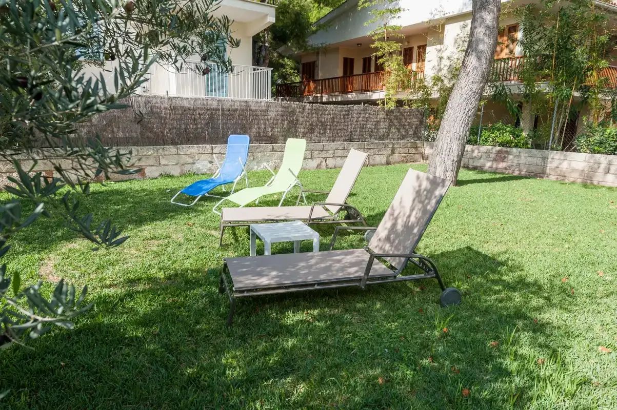 A grassy garden with reclining loungers and trees.