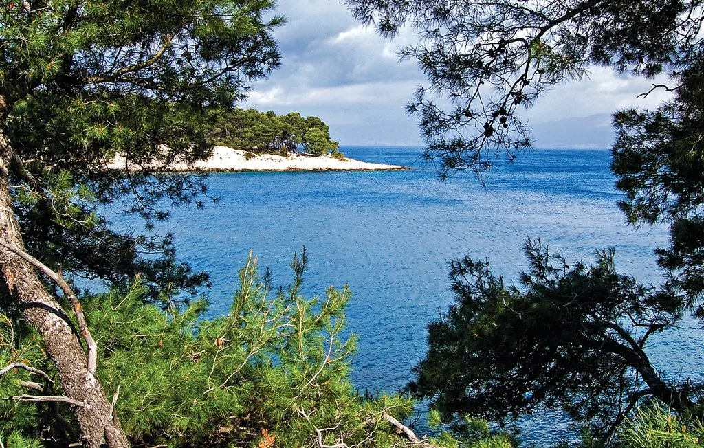 A blue coastal bay is framed by pine branches and a sandy shoreline.