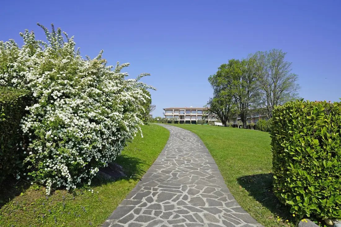 A stone path curves through a green lawn between flowering shrubs and trees.