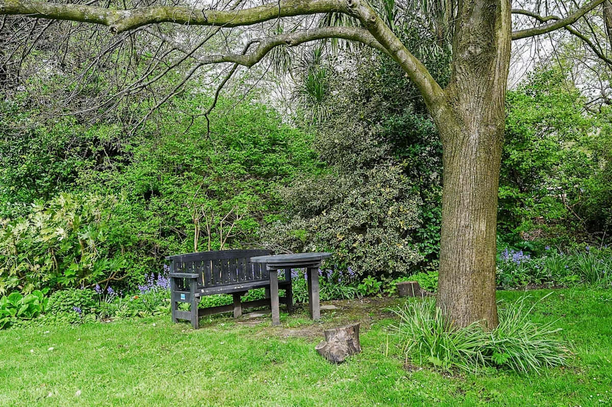 Una zona de descanso en el jardín está bajo un gran árbol, rodeada de vegetación.